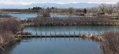 Rocky Mountain Arsenal Trails