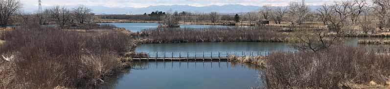 Rocky Mountain Arsenal Trails