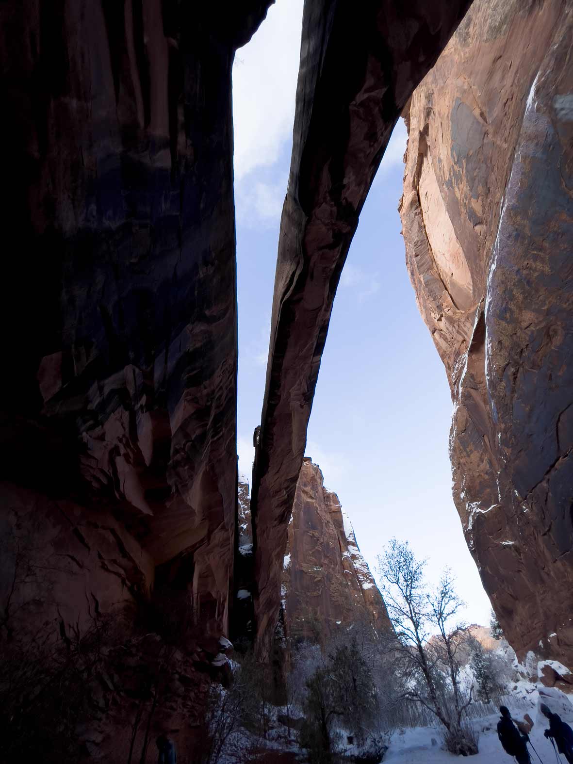 Standing underneath Morning Glory Span