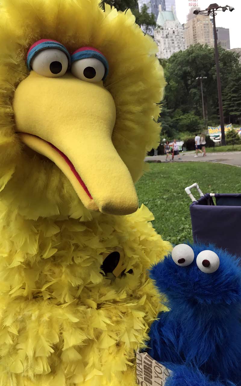 Big Bird and Cookie Monster
