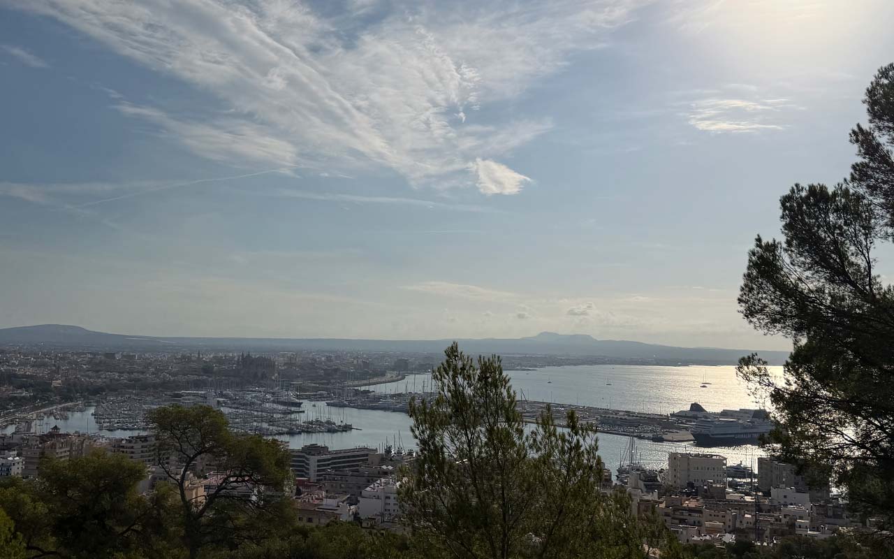 Looking out over Palma Port Looking out over the Palma de Mallorca port.