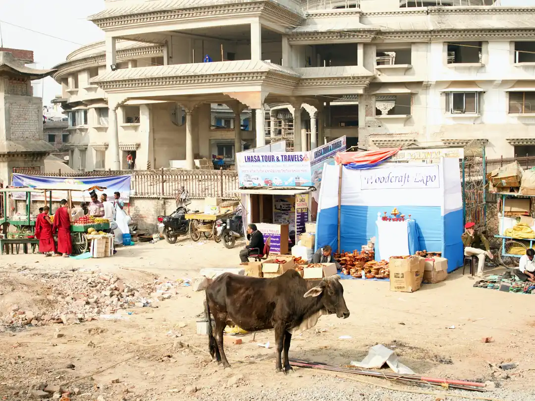 Part of the Life in Both Gaya Image Series