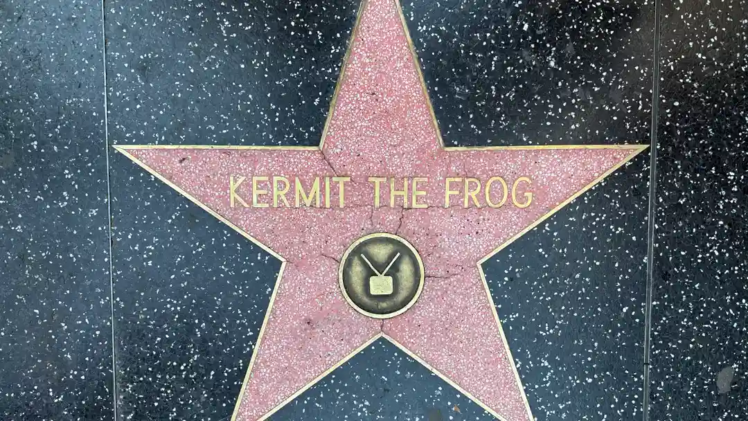 Kermit the Frog Star on the Hollywood Walk of Fame.