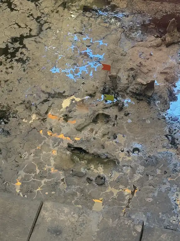 A tar pit with flags at the La Brea Tar Pits area.