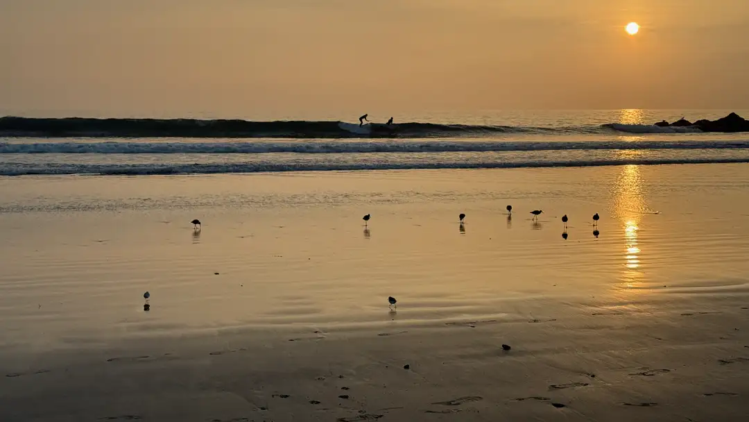 Sunset on Venice Beach with two surfers in the ocean.